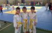 Judo Equipe Macerata  punta tutto sui giovani
