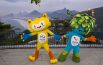 Olimpiadi brasiliane,  tutte le medaglie delle Marche