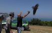 Sos, soccorso animali: salvati un falco e un martin pescatore