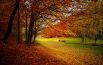 I mille colori dell’autunno: foliage, castagne e funghetti