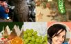 Foca farcita e aperitivi al bruco: 5 tradizioni bizzare per il Natale