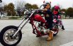 Iris e Noemi, mini bikers per la motobefana a Tolentino