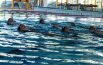 Un aiuto alla piscina di Camerino:  450 in vasca per “Legare”