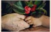 Giornata della Terra,  bambini e anziani la vivono insieme  tra piante aromatiche e fiori