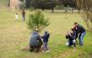 Un arbusto per ogni bimbo, torna la festa degli alberi