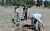 Ad ogni albero il nome di un nuovo nato: 300 famiglie in festa
