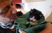 Gattino intrappolato in un’auto: salvato e adottato