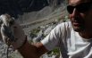 Nel Parco nazionale dei Sibillini un roditore ad alta quota