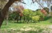 Orienteering, laboratori e giochi  nel parco urbano di Fontescodella