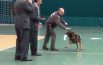 A scuola di legalità,   il cane poliziotto Charlie  entusiasma gli alunni