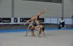 Ginnastica Civitanova,bottino di medaglie alle nazionali