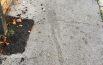 I pedoni fanno lo slalom tra i bisogni dei cani