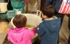 Come si fa l’olio d’oliva:  dalla raccolta delle olive al frantoio