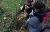 Nonno Vespasiano con bambini e bambine  per piantare tre nuovi alberi