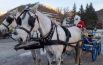 Babbo Natale arriva in carrozza