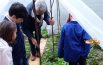 «Mamma, ti ho portato l’insalata»:  bimbi e bimbe imparano “sul campo”
