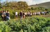 Da tutta Europa a Recanati: Erasmus+ tra vendemmia e saltarello