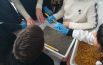 Missione archeologo: trovate ceramica, monete e fibule