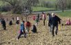 «Ci siamo sporcati le mani per piantare il nostro bosco urbano» Giovani giardinieri in azione
