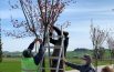 Nati sei bimbi e bimbe, piantati alberi coi loro nomi