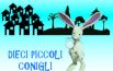 Dieci piccoli conigli scomparsi, il giallo è sul web