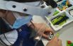 Coding e robotica,  sprint regionale  per “Il sentiero verdeblù”