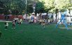 Si armano di guanti e sacchetti  e puliscono giardini e aree pubbliche