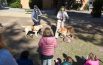 «I miei occhi sono pelosi,  non disturbate il mio cane guida» (Foto)