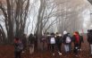 Studenti alla corte di “Re Faggio”  nell’incanto di Canfaito (Foto)