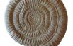 Il mollusco che viveva sugli Appennini e la sua conchiglia artistica