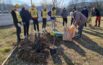 Operazione scuole pulite, alberi e murales nel cortile