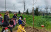 Equinozio di primavera,  piantati 14 nuovi alberi a Tolentino