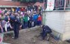 Quattro piante di corbezzolo  nel cortile della Salvo D’Acquisto