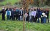 Festa dell’albero,  piantati aceri rossi  sul viale per il laghetto di Boccafornace