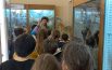 Museo di storia naturale: incanto, meraviglia e un “giro” nel Nautilus