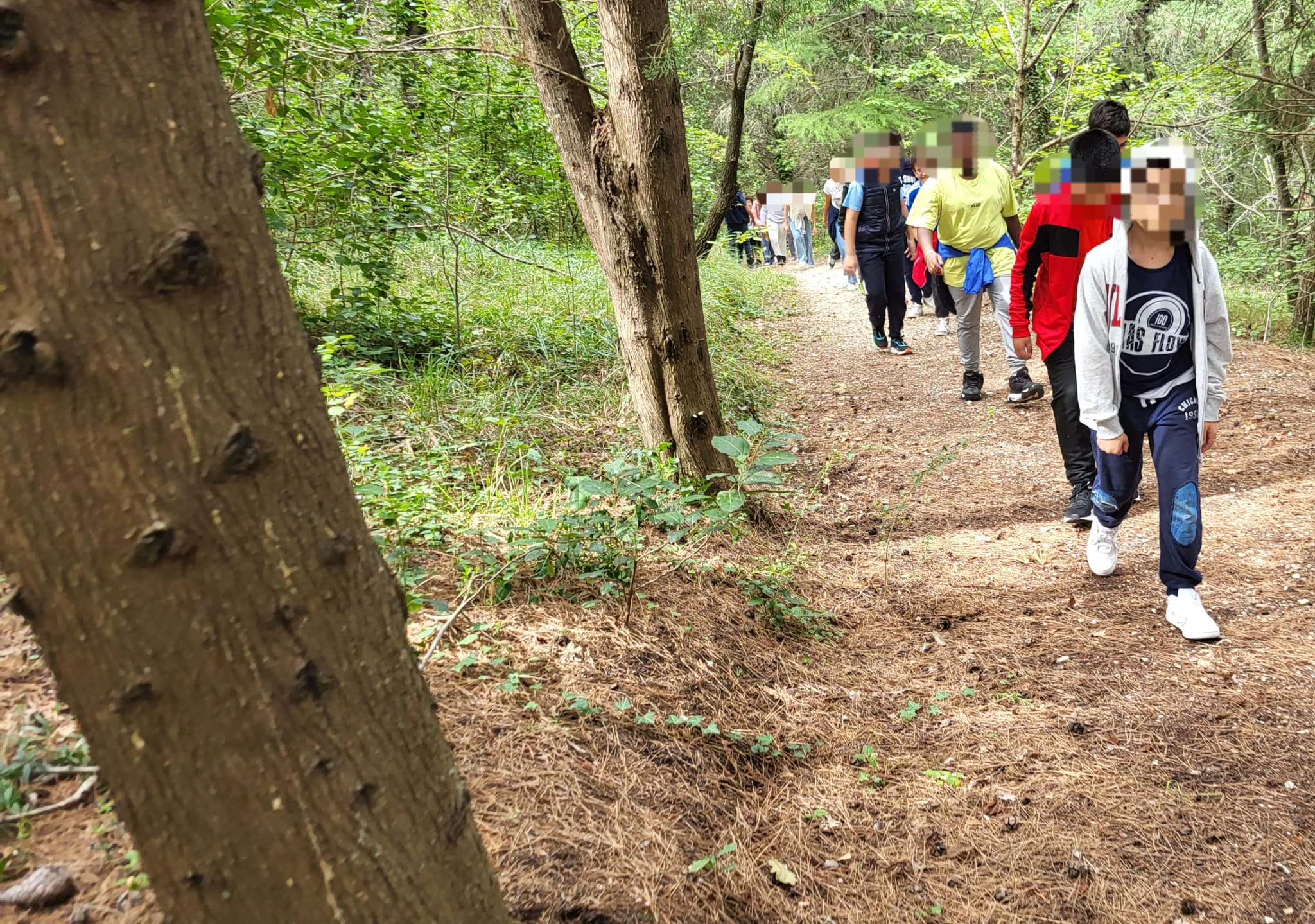Avventura nel bosco urbano di Collevario: «Così ci conosciamo meglio e uniamo le nostre forze»