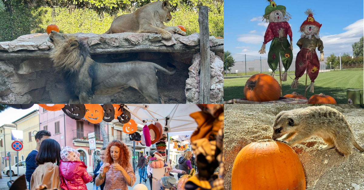 Zucche, festival horror e festa allo zoo: Halloween è servito