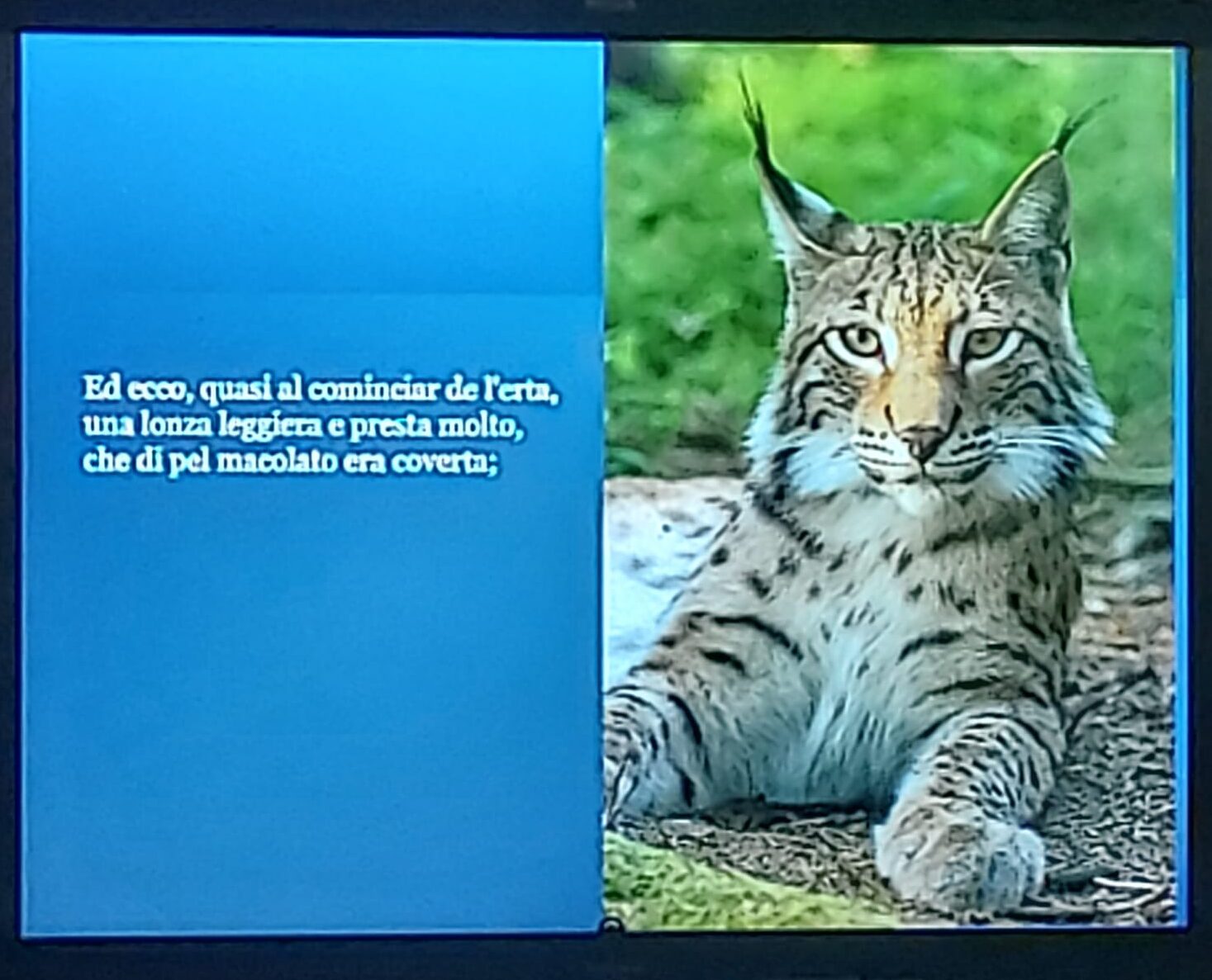 Gli animali nella Divina Commedia