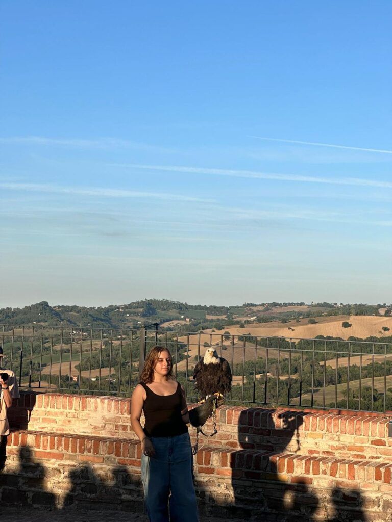 Il falconiere a "Un Bel Forte in gioco”