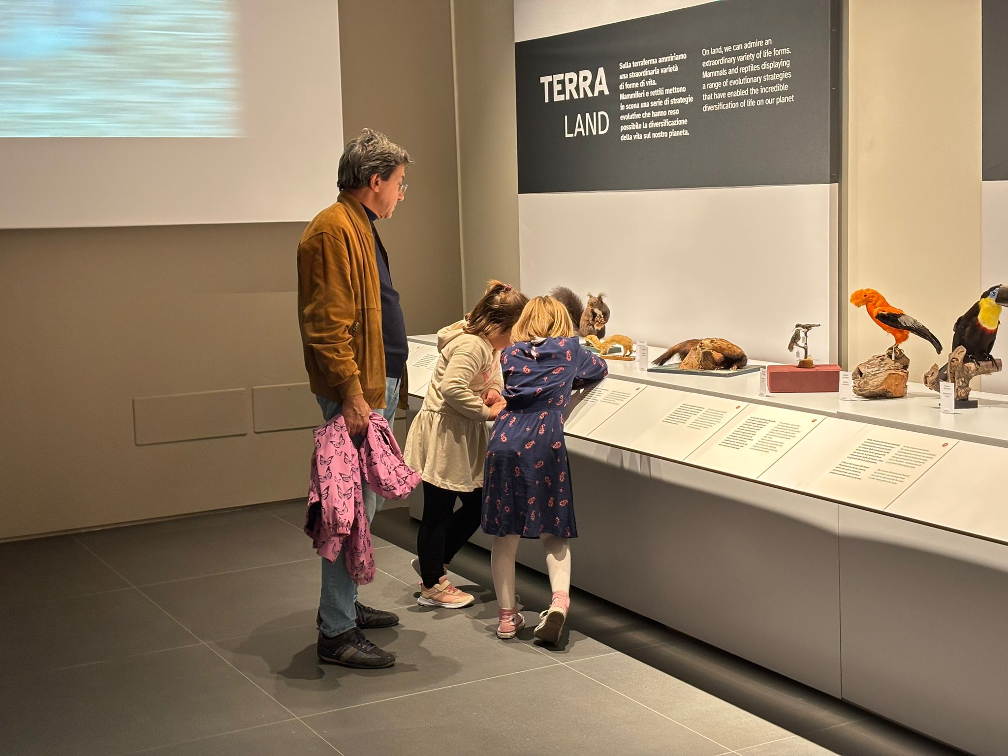 Fossili e animali per insegnare, la collezione dei salesiani diventa una mostra permanente