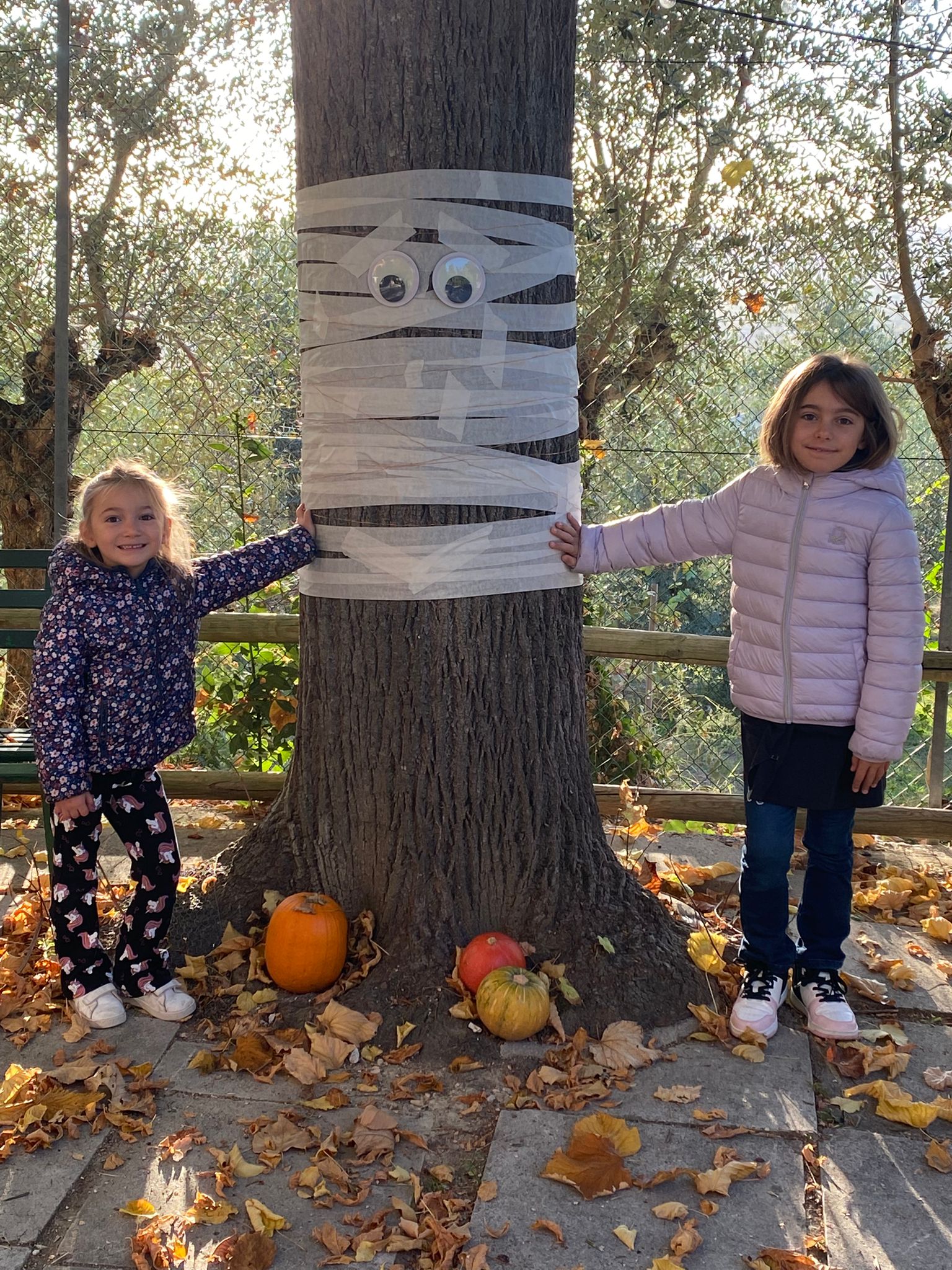 L’albero di Halloween cresce a Macerata