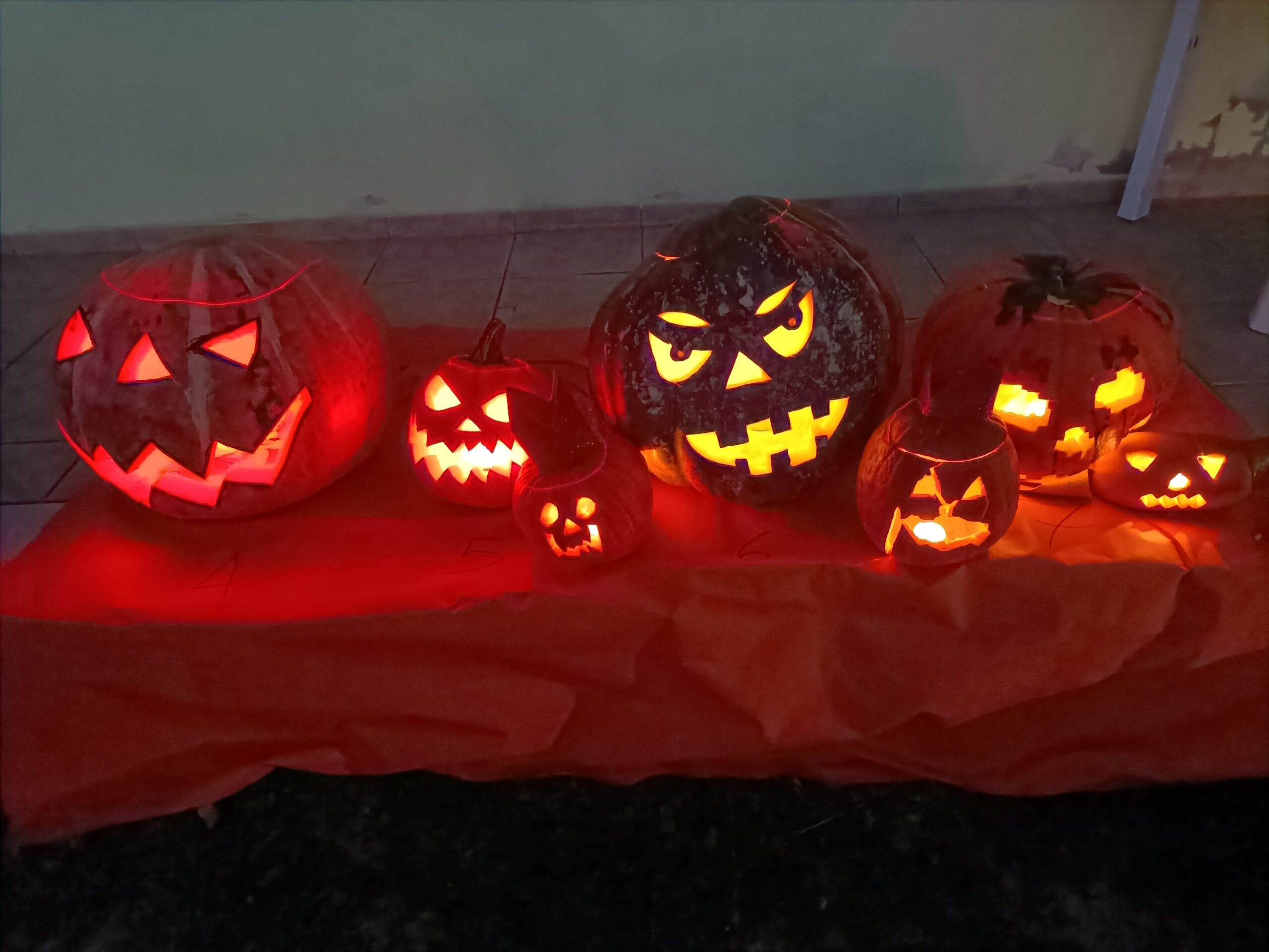 “La tua zucca da paura”, via alle votazioni