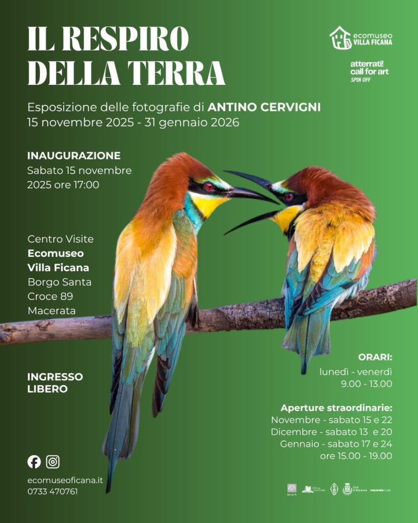 Antino Cervigni, la mostra
