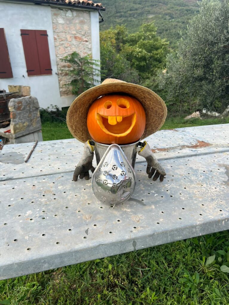 La divertente zucca di Halloween di Leonardo Puliti 