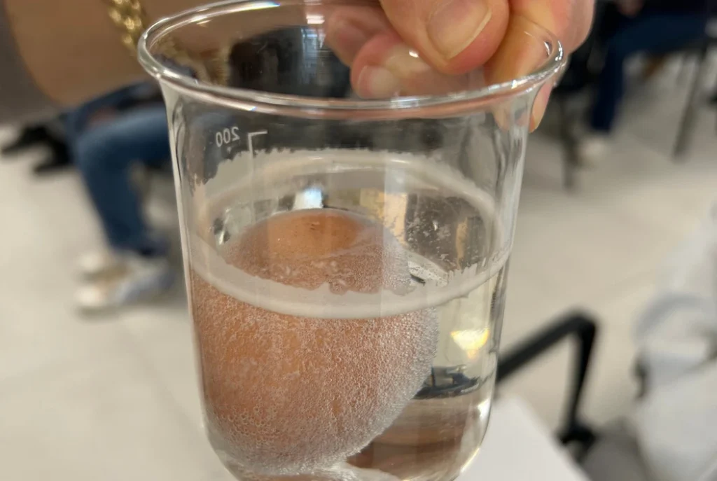 Orientamento scientifico Matematico Dante Alighieri di Macerata