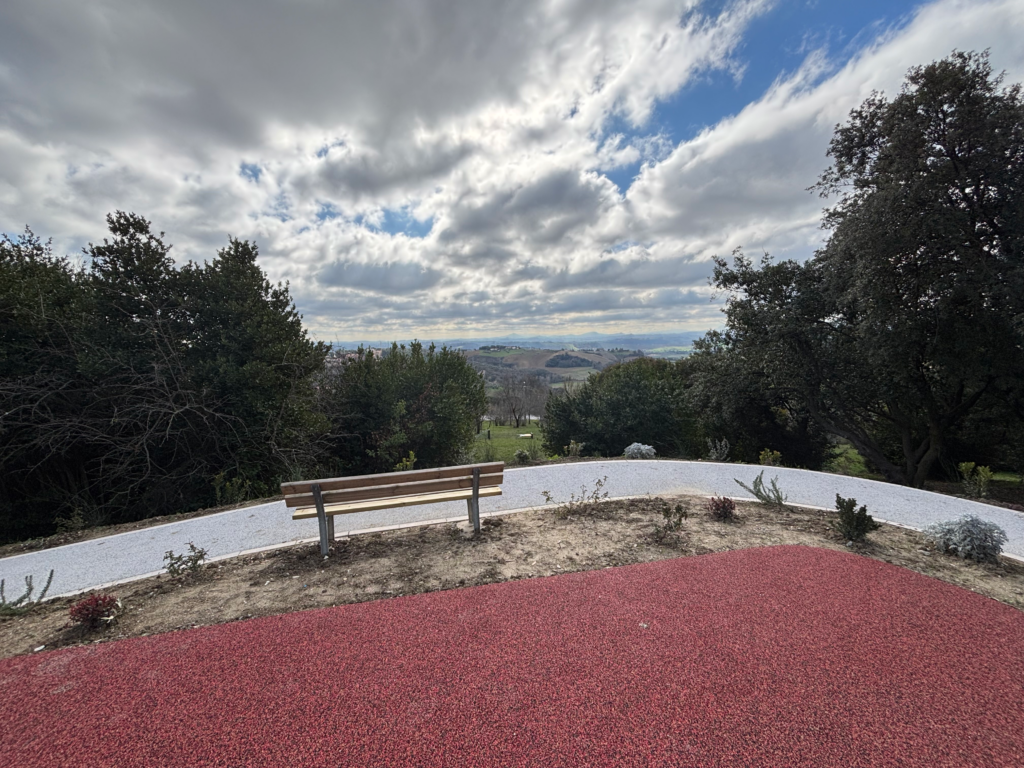 Una delle viste che si possono godere nel rinnovato Bosco Urbano del Sasso d'Italia 