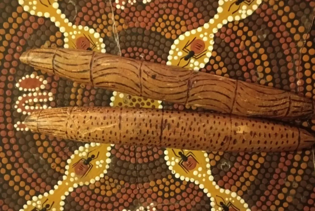 Studenti e studentess4 della Fermi-Montessori alla scoperta del mondo aborigeno con Camilla Murray