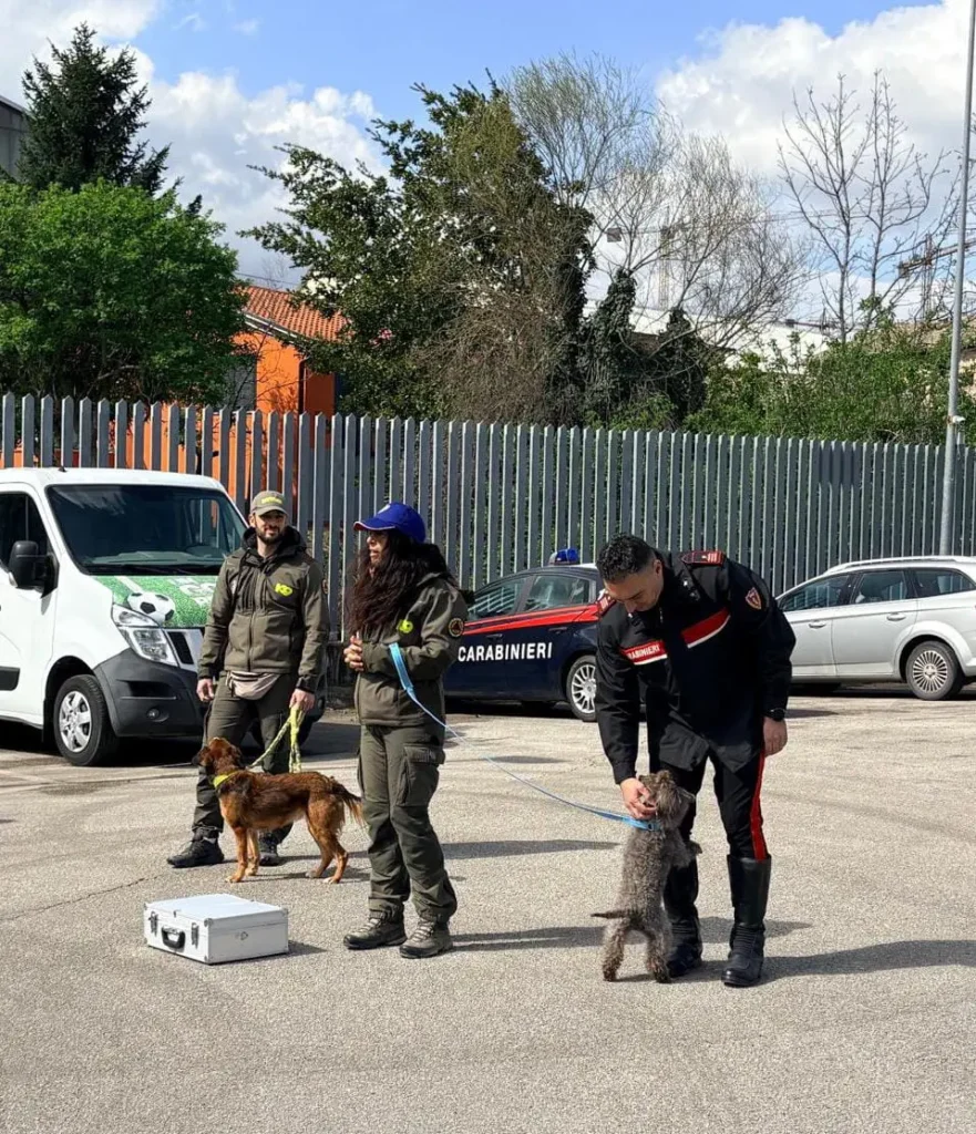 La visita in caserma accolti dalla comandante Giulia Maggi