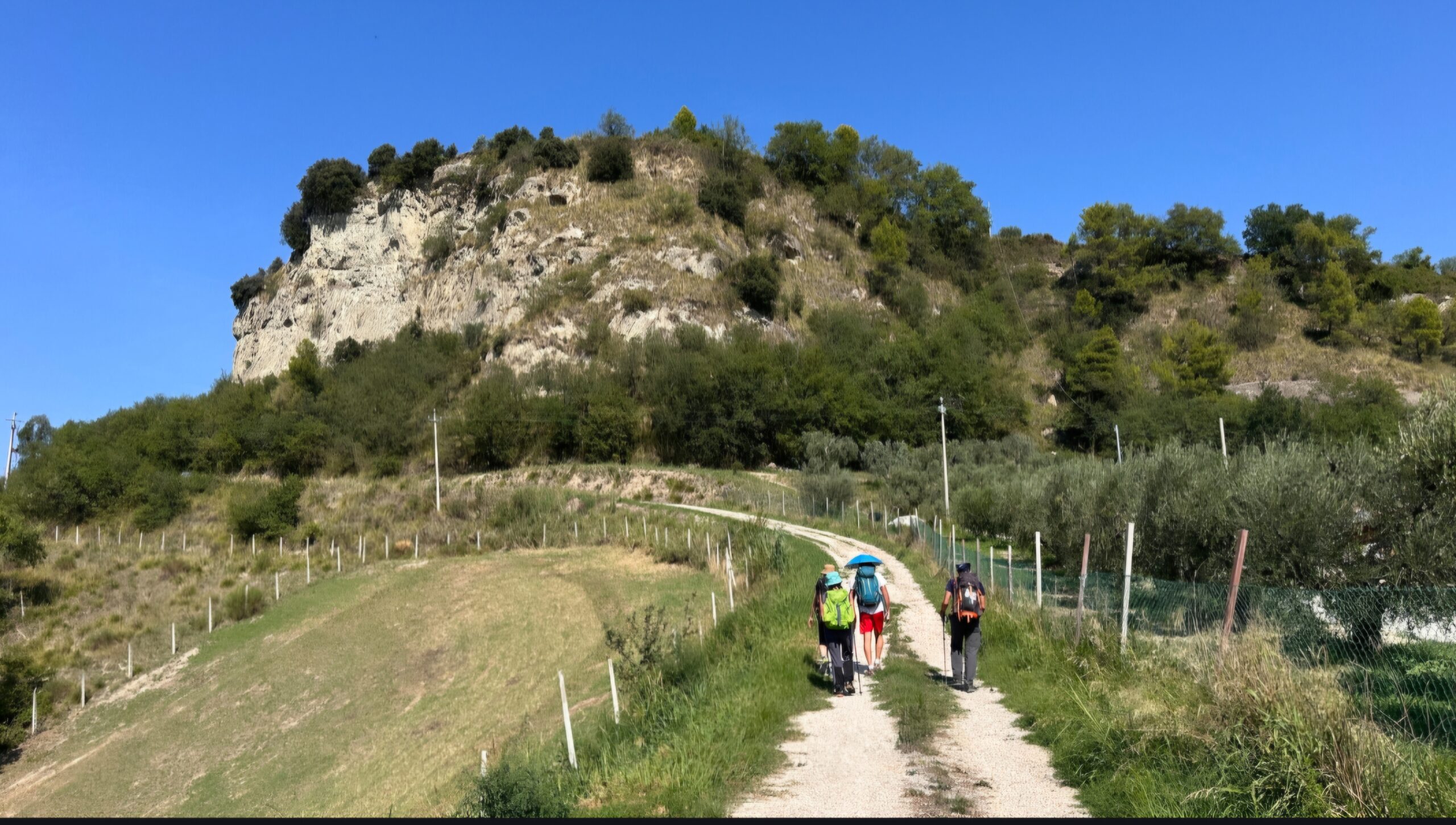 Passeggiata con gli asinelli e col gregge lungo il Cammino Francescano della Marca