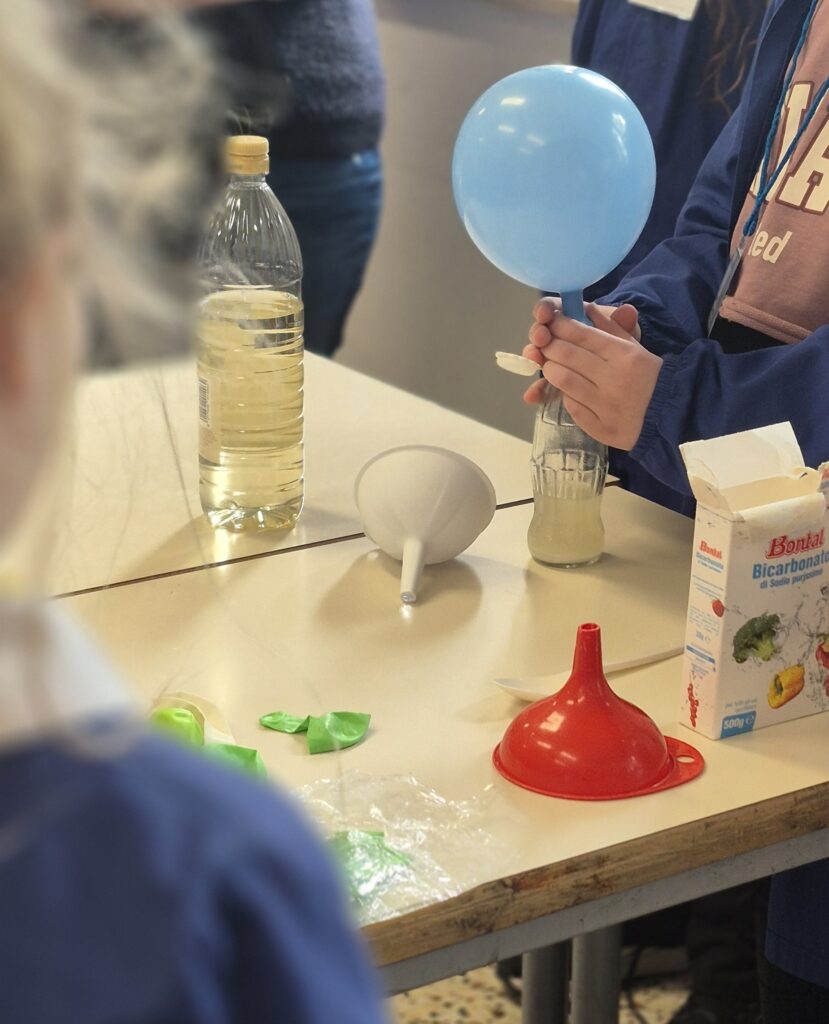 La festa della scienza alla Mestica